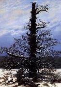 Caspar David Friedrich The Oaktree in the Snow oil painting picture wholesale